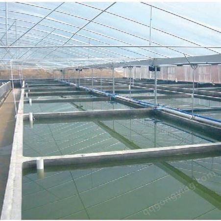 福诺 水产养殖   智慧水产养殖 水产养殖远程监测控制系统