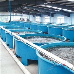 福诺 水产养殖   智慧水产养殖 水产养殖远程监测控制系统
