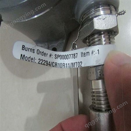 burns温度传感器burns温度变送器burns温度探头