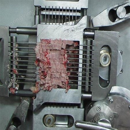 全自动切肉丁机 冷鲜肉切丁机 猪肉切块机 泽信304不锈钢