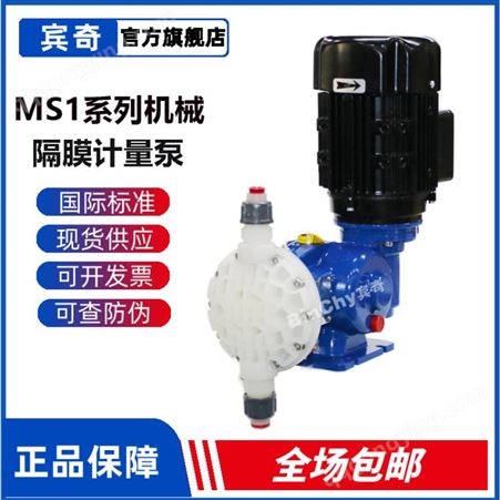 MS1B108C41C4080意大利SEKO加酸泵MS1型PVDF机械隔膜计量泵
