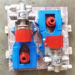 电动不锈钢齿轮泵 不锈钢物料泵 小型不锈钢齿轮泵