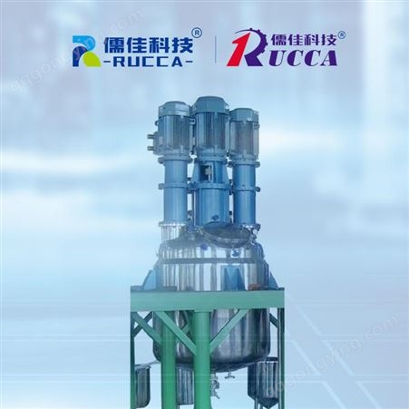 儒佳/RUCCA化工反应设备多功能搅拌釜厂家供应