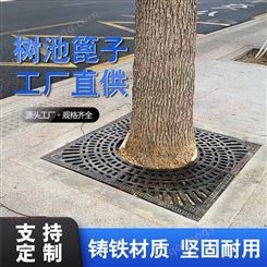 普罗盾球墨铸铁树篦子 树穴盖板 树坑盖板 可定制市政绿化