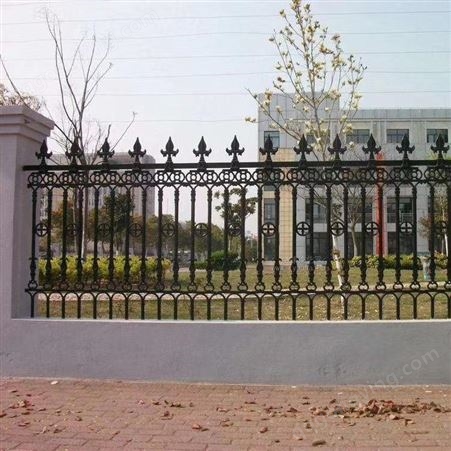 普罗盾厂家供应铸铁护栏 小区围墙 别墅防护栏 铁艺栏杆 铸铁围墙
