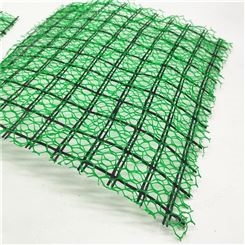 东吴 加筋型三维植被网 复合玻纤格栅土工网 三维结构可裁剪