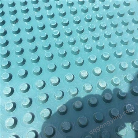 塑料排水板大量出售 巢湖排水板 厂家批发