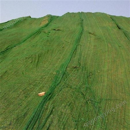 土方覆盖网 土堆绿色防尘网 矿场防尘网
