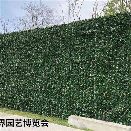 无锡绿色植物墙 室外外墙植物墙