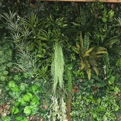 生态植物墙技术
