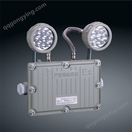 应急双头灯蓄电型  LED蓄电池双头灯  广东应急照明灯具厂家