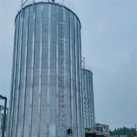 大型平底钢板仓 2000吨小麦玉米稻谷立筒仓 防腐储罐