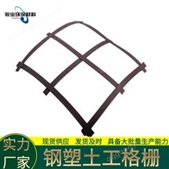浙江钢塑土工格栅周期短 桥台地基加固聚酯双向格栅