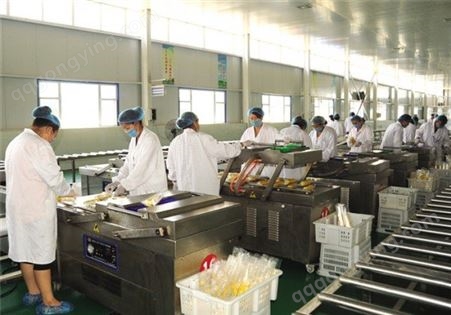 上海嘉备 辣椒丝加工生产设备 辣椒丝生产加工设备 罐头全套生产设备