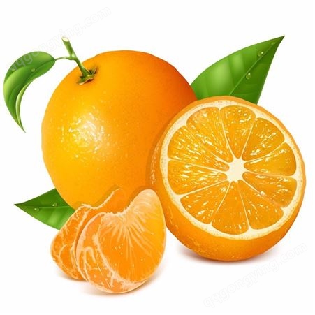 橘子罐头 犁罐头  椰果罐头_下单