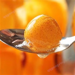 水果罐头 山楂罐头 橘子罐头 _可靠