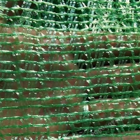 聚乙烯盖土网 绿色防尘盖土网遮阳网 建筑工地盖土网
