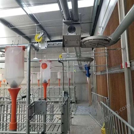 养殖场料线猪舍自动喂料机猪场塞盘链条料线系统全套料塔料线设备
