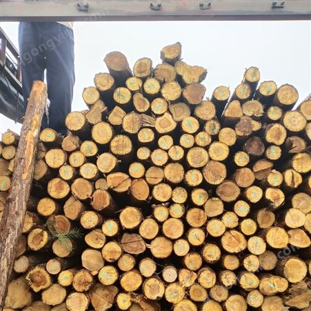 郑州出售大量 杉木杆 松木杆 杉木杆厂家