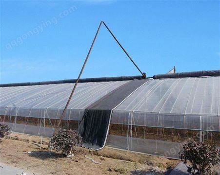 日光温室 安装方便简易 充分利用太阳能 光照充足 蔬菜种植大棚