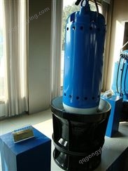 潜水回流泵 QJB-W 污泥反硝化专用定制 搅拌机安装系统