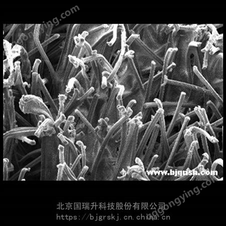 北京国瑞升碳酸钙磨料植绒研磨带20微米800目复合植绒基材