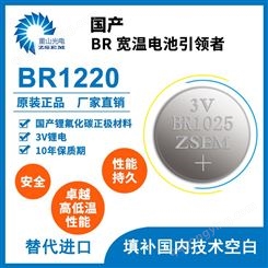 BR1220纽扣电池 宽温大容量一次电池 矿工/定位器/定位仪电池