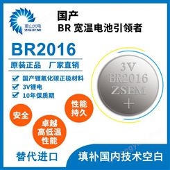BR2016钮扣电池  电子智能仪表仪器 -40度耐高低温 一次性锂氟化碳电池