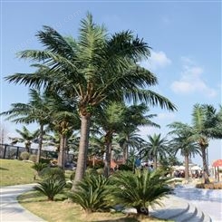 室外椰子树 人造树 仿真椰子树定制 云南昆明户外椰子树批发