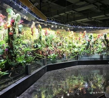 雨林水陆景观  苔藓微景观 水陆缸雨林缸 花盆盆景 雨林缸水路缸