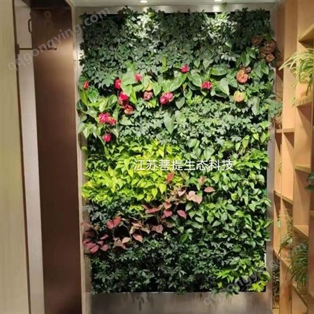 镇江垂直绿化植物墙制作