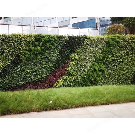 垂直真植物墙背景植物 装饰立体生态墙绿植墙
