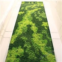 【苔蘚墻】仿真苔蘚微景觀diy植物人造青苔立體造型去異味背景墻室內裝飾