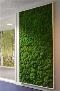 【苔藓墙】仿真苔藓微景观diy植物人造青苔立体造型去异味背景墙室内装饰