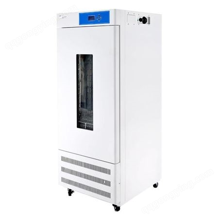 上海新诺 HGZF-II-101-2电热鼓风干燥箱 恒温融蜡箱 老化实验测试箱