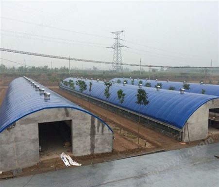 养殖恒温大棚 新型温室大棚 拱形塑料养殖大棚