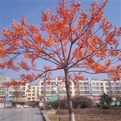 装饰树 园区树木布置假树叶 节日绕树灯 北京美陈枫叶厂家