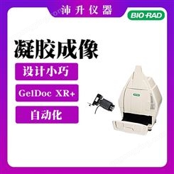 Bio-Rad伯乐Gel Doc XR+/ChemiDoc XRS+ 凝胶成像分析系统