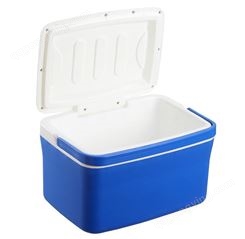 白盖车载家用13L保温箱冷藏箱 便携户外小冰箱保鲜箱 钓鱼专用