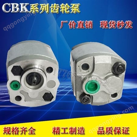 CBK-F4.8 F2.1 F2.6 F3.2 CBK-F4.2 L2P-F5.8 L2P-F3.2液压泵