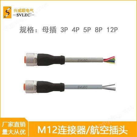SVLEC防水M12连接器IP67母插带电缆 3 4 5 8 12芯航空插头