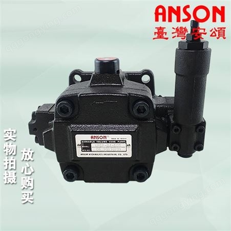 安颂ANSON液压油泵叶片泵  TPF-VL301 2 3 4 5 6 7 8-GH7-10