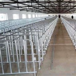 母猪产床产保一体2.2米*4米保育产床厂家福立畜牧定制