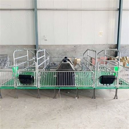 福立畜牧 厂家批发复合仔猪保育床 现货供应猪连体保育床
