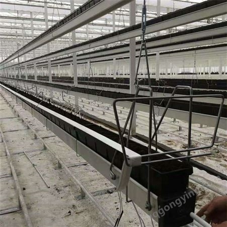 XLF236鑫利丰 无土栽培系统搭建 瓜果种植 材料可循环利用