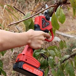 桃树枝修剪机 园林工具3公分树枝剪 手持充电式修枝剪