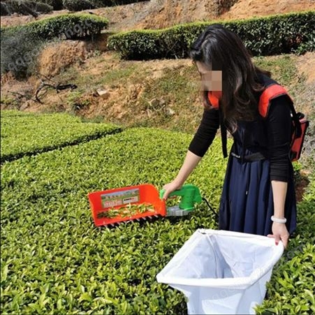 新鲜春茶采摘机 单人小型手提充电式茶叶修剪机 庭院式采茶机