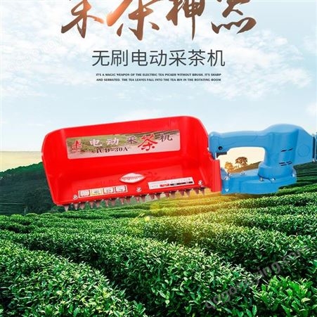 新款采茶机械 锂电采茶机厂家 茶叶采茶机