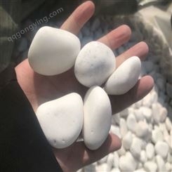 川青鹅卵石 1.5-2厘米 白色石子 打磨卵石 树坑铺面装饰用