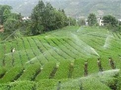智能灌溉 自动灌溉 园林灌溉